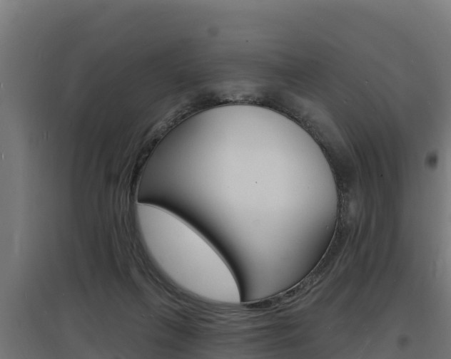 X0000097670263200802290953
