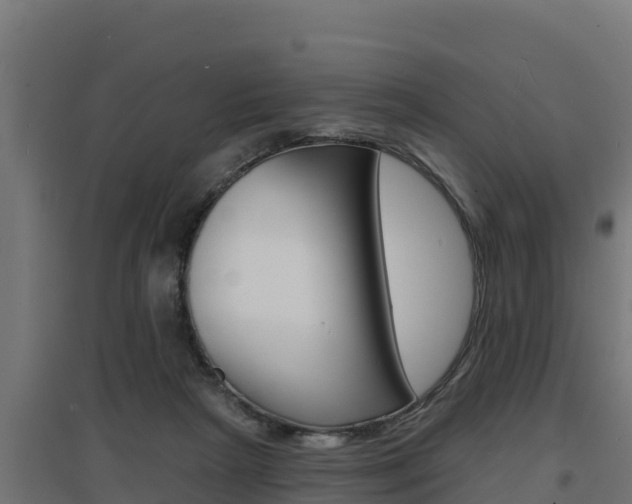 X0000097670265200802290953