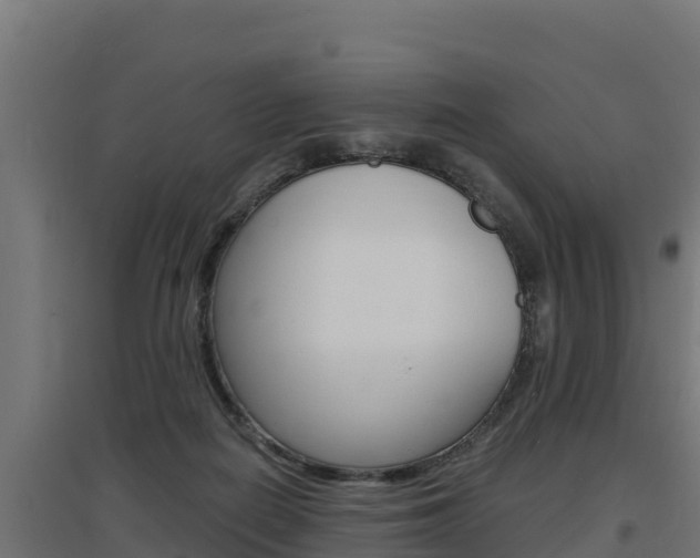 X0000097670266200802290953