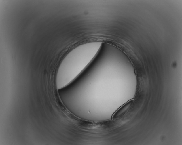 X0000097670267200802290953