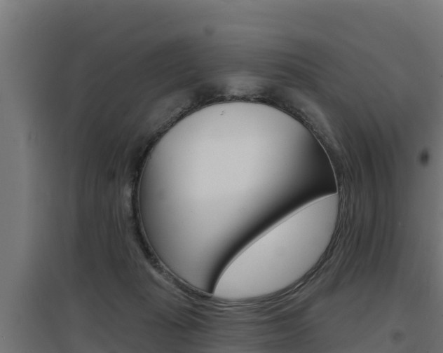 X0000097670269200802290953