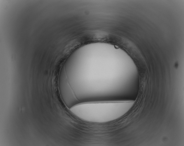 X0000097670270200802290953