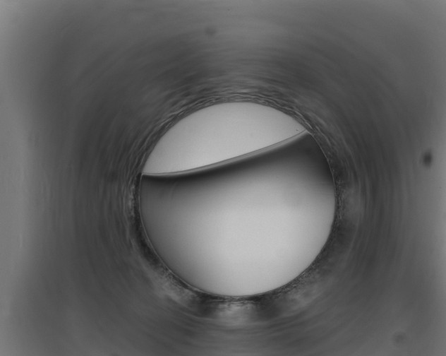 X0000097670274200802290953
