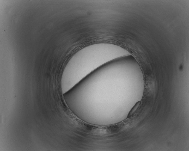 X0000097670276200802290953