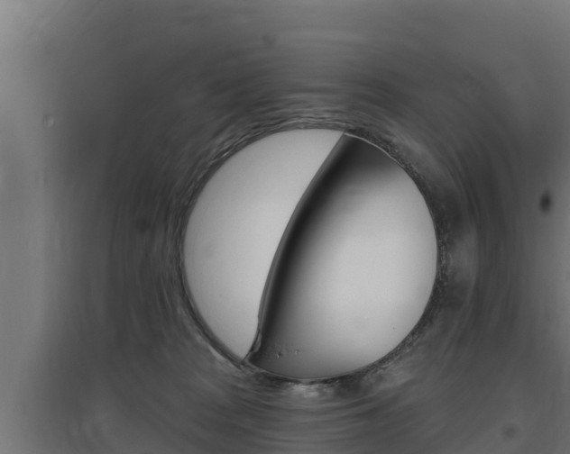 X0000097670277200802290953
