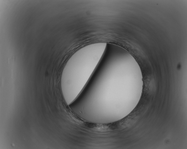 X0000097670278200802290953