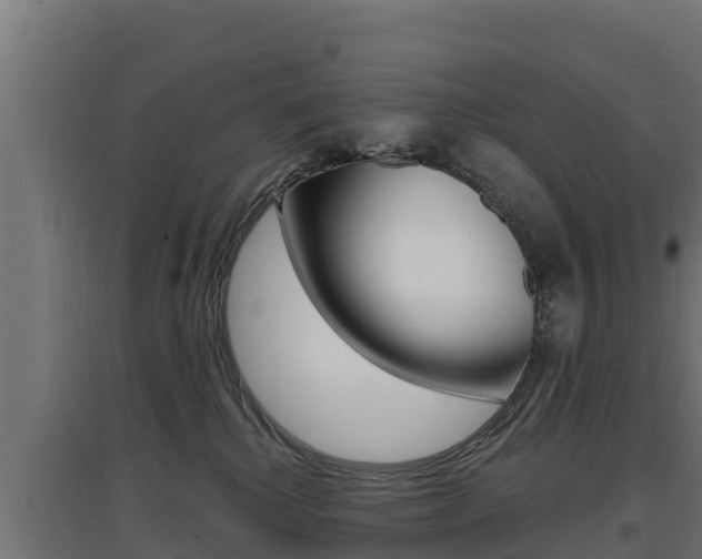 X0000097670280200802290953
