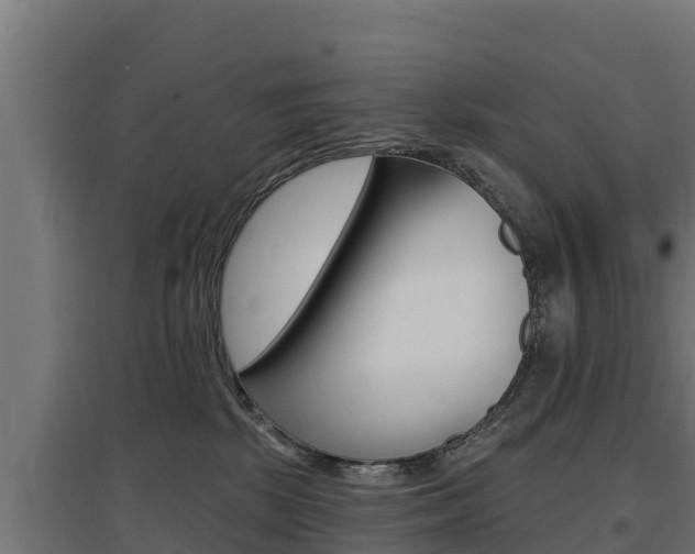 X0000097670281200802290953