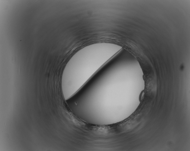 X0000097670282200802290953