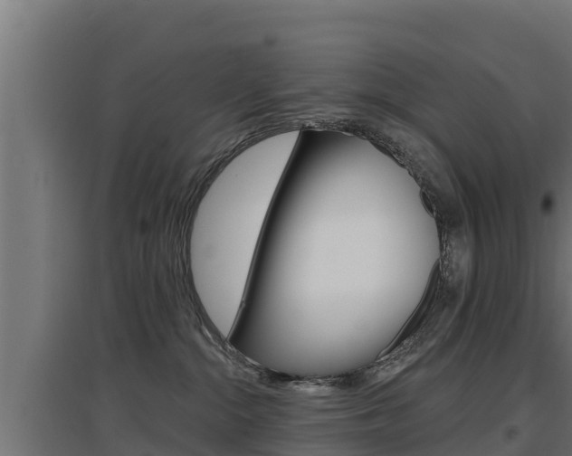 X0000097670284200802290953
