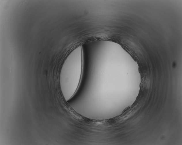 X0000097670285200802290953