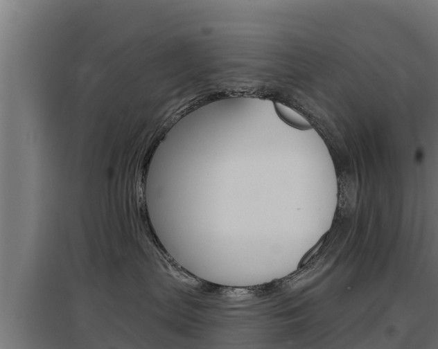 X0000097670287200802290953