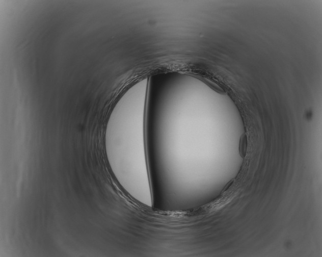 X0000097670288200802290953