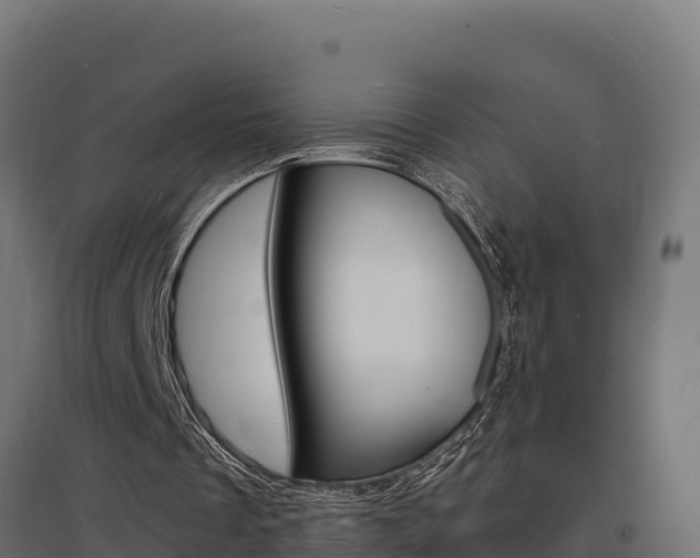 X0000097670289200802290952