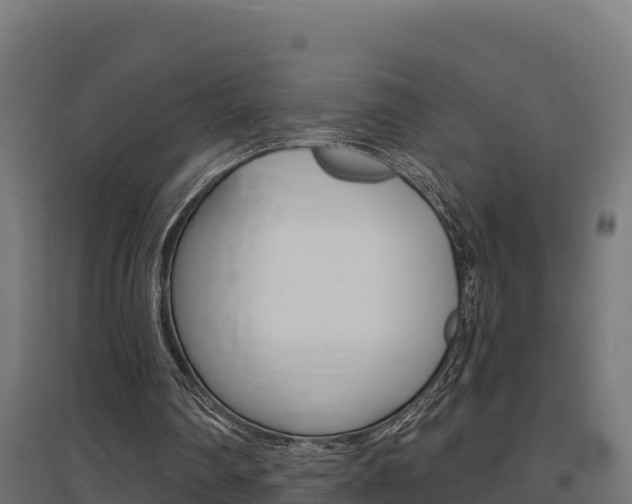 X0000097670290200802290952