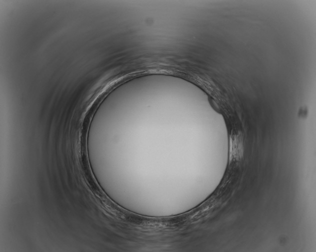 X0000097670291200802290952
