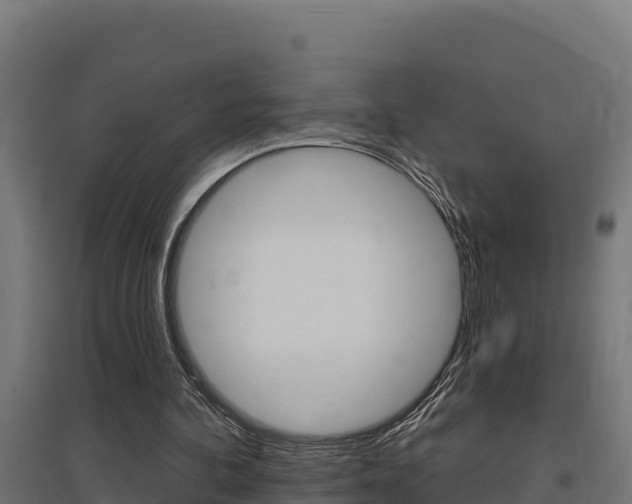 X0000097670292200802290952