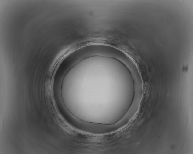 X0000097670293200802290952