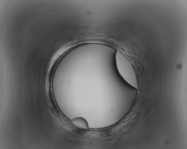 X0000097670294200802290952