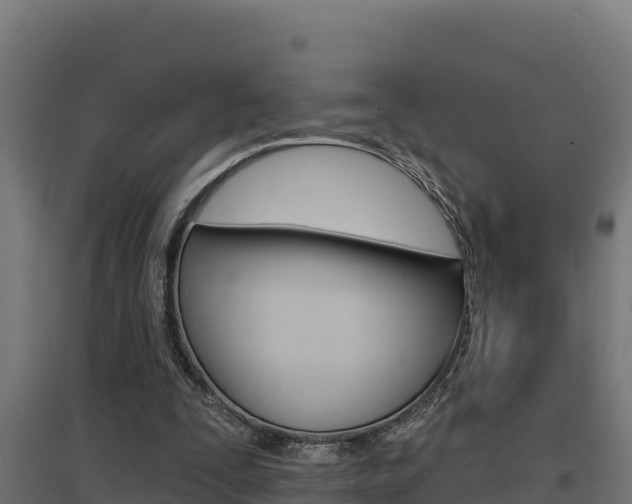 X0000097670295200802290952