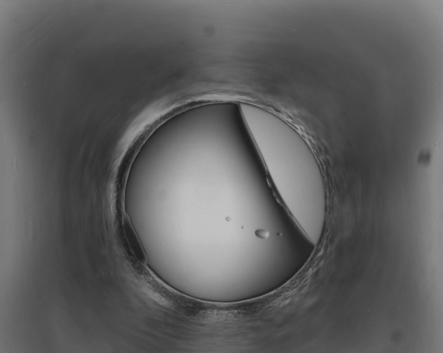 X0000097670296200802290952
