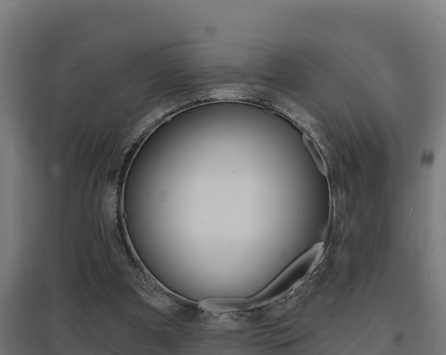 X0000097670297200802290952