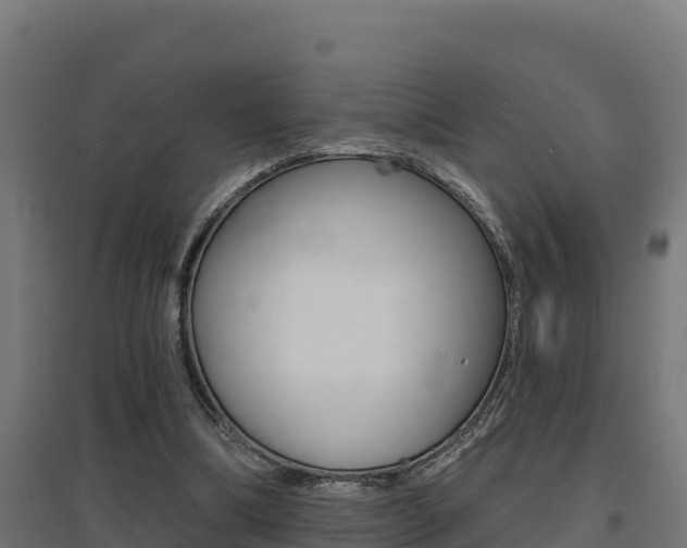 X0000097670298200802290952