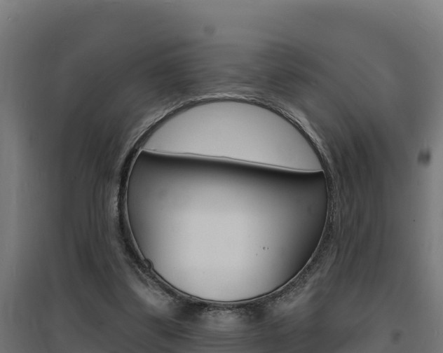X0000097670299200802290952