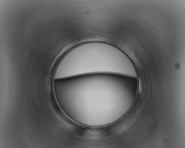 X0000097670300200802290952