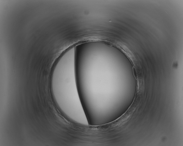 X0000097670301200802290952