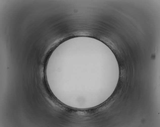 X0000097670302200802290952