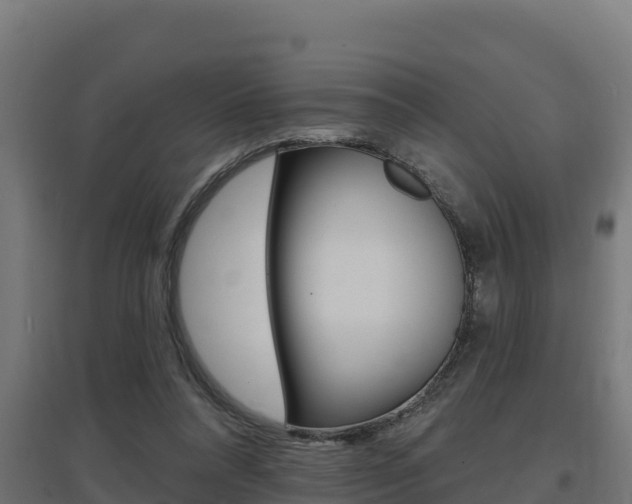 X0000097670304200802290952