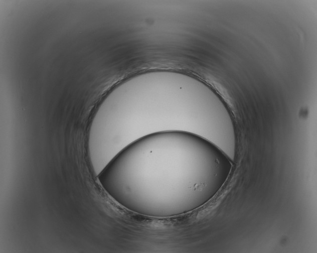 X0000097670305200802290952