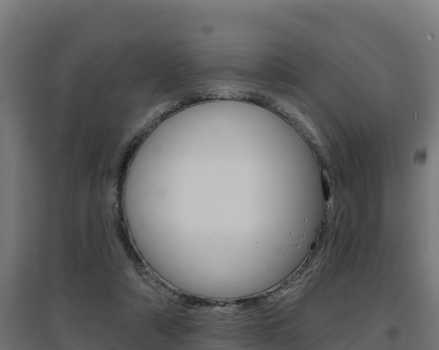 X0000097670306200802290952