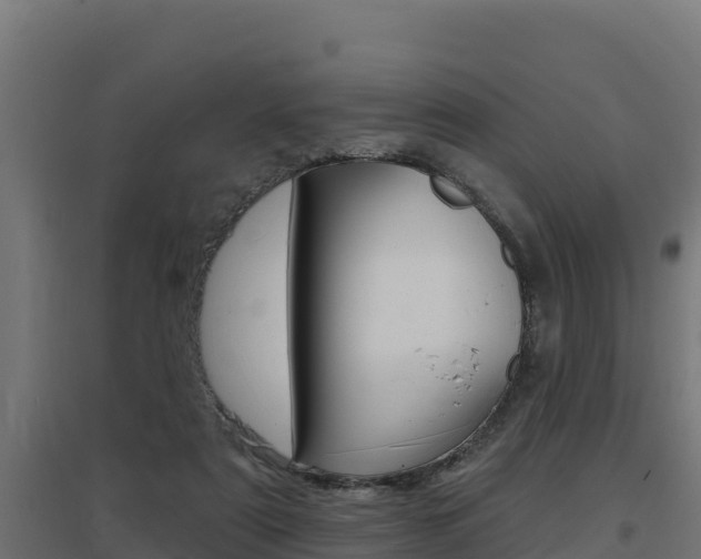 X0000097670307200802290952