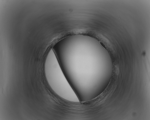 X0000097670308200802290952