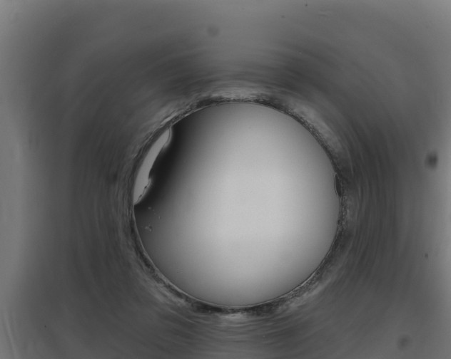 X0000097670309200802290952
