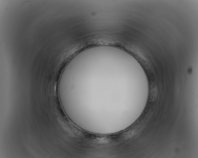X0000097670310200802290952