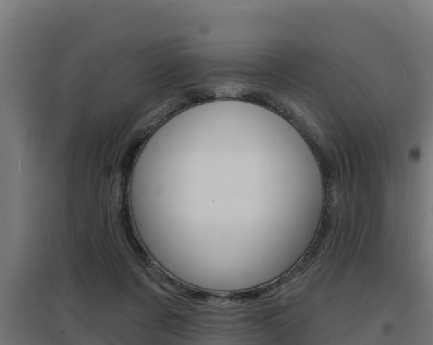 X0000097670311200802290952