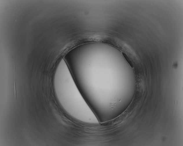X0000097670312200802290952