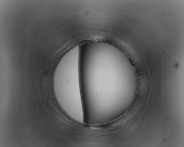 X0000097670313200802290952