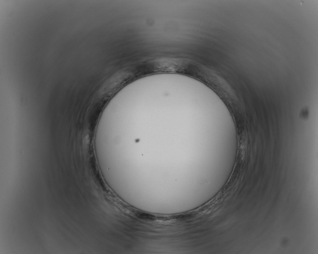 X0000097670314200802290952