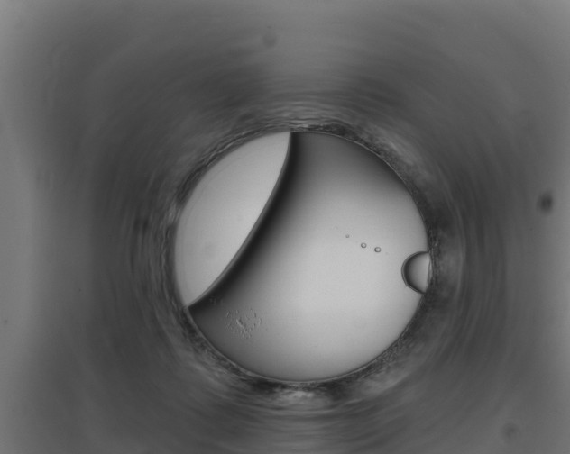 X0000097670315200802290952