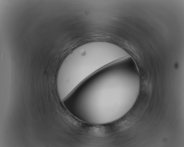 X0000097670317200802290952