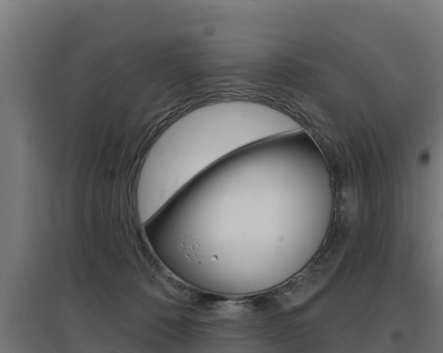 X0000097670320200802290952