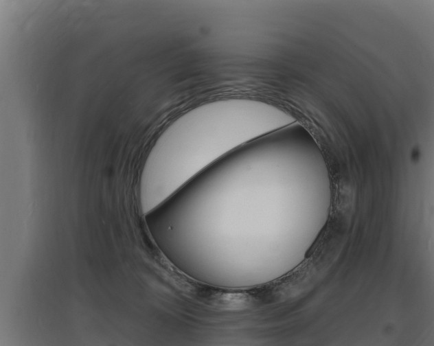 X0000097670324200802290952