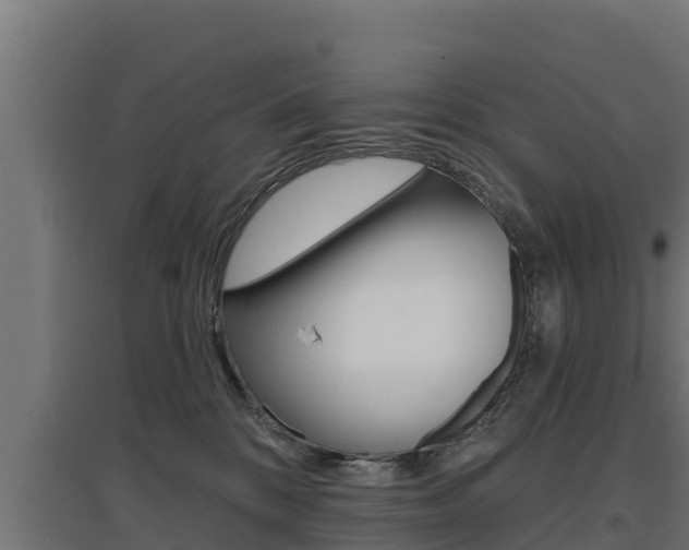 X0000097670328200802290952