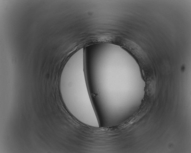 X0000097670329200802290952