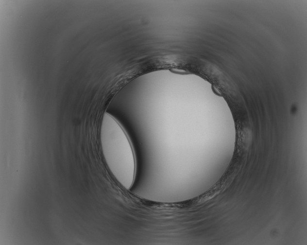 X0000097670331200802290952