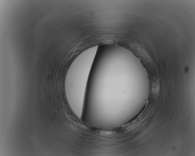 X0000097670332200802290952